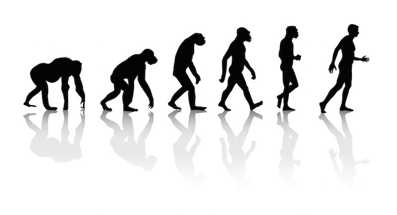 The Theory Of Progressive Evolution