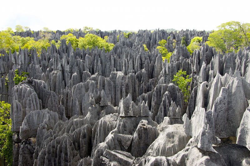 4 Tsingy de Bemaraha, Madagascar1