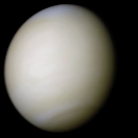 A real-colour image of Venus taken by Mariner 10 processed from two filters. The surface is obscured by thick sulfuric acid clouds