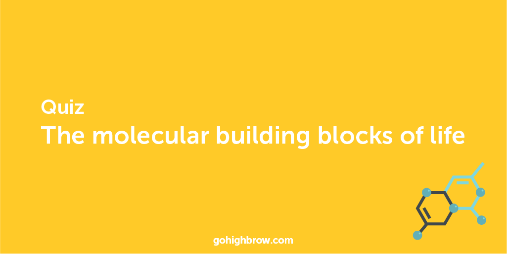Quiz The molecular building blocks of life Highbrow