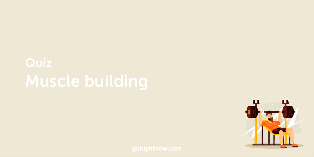 Quiz Muscle building Highbrow
