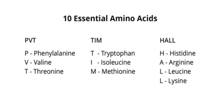 Mnemonic Basics | Highbrow